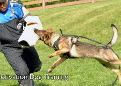 surrey-metropolitan-security-canine-patrol-2