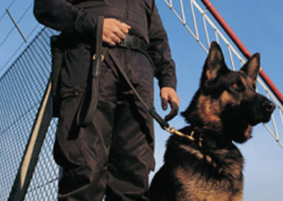 surrey-metropolitan-security-canine-patrol